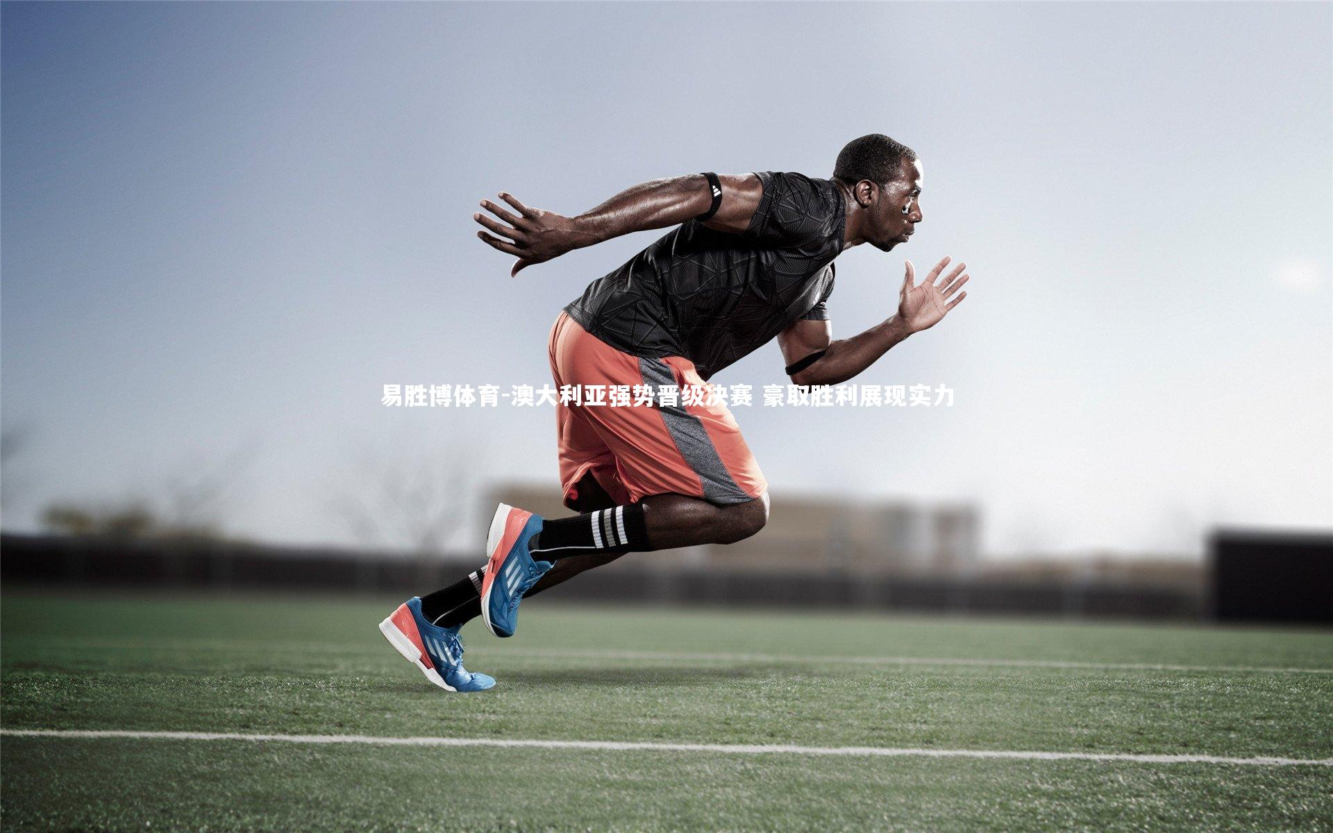 澳大利亚强势晋级决赛 豪取胜利展现实力